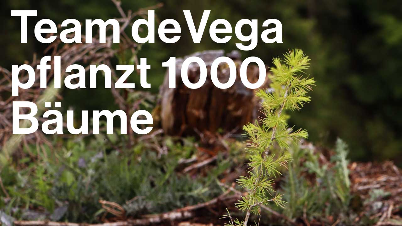 deVega pflanzt 1000 Bäume